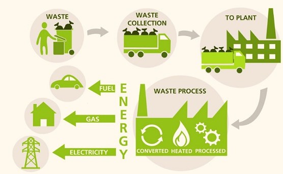 Năng lượng tái tạo là gì? Có những loại năng lượng tái sinh nào?